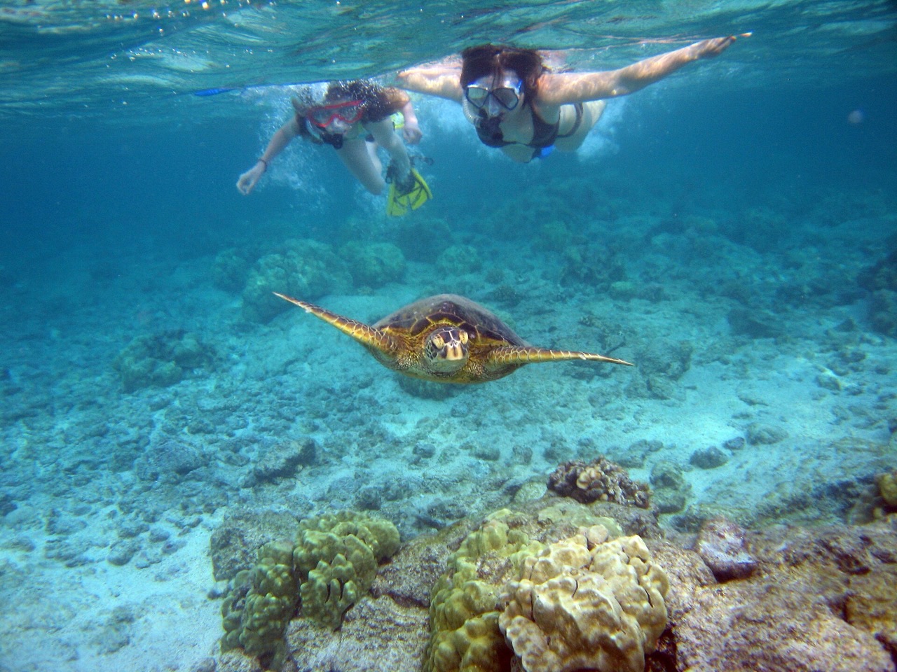 Snorkeller exploring clear turquoise water over a rocky seabed near Dubrovnik