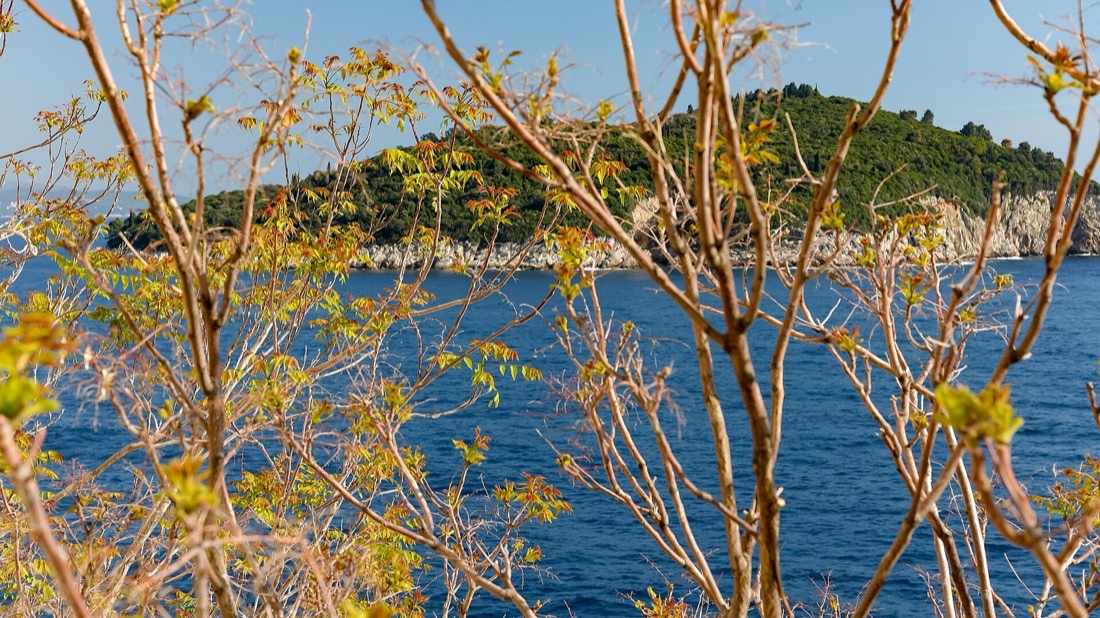 Forested Lokrum island seen from the boat off Dubrovnik